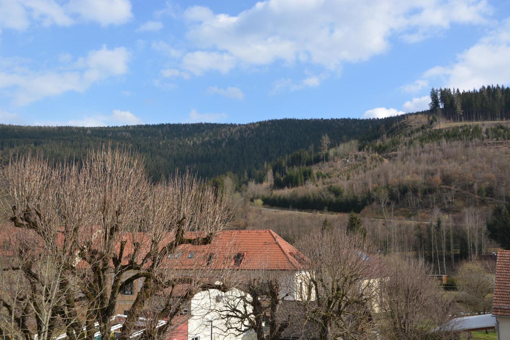 Kronenwirt Gurk Esterno foto