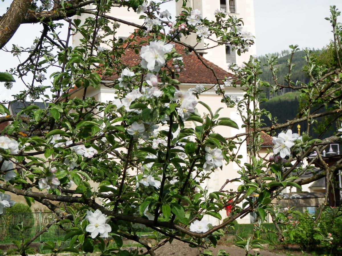 Kronenwirt Gurk Esterno foto