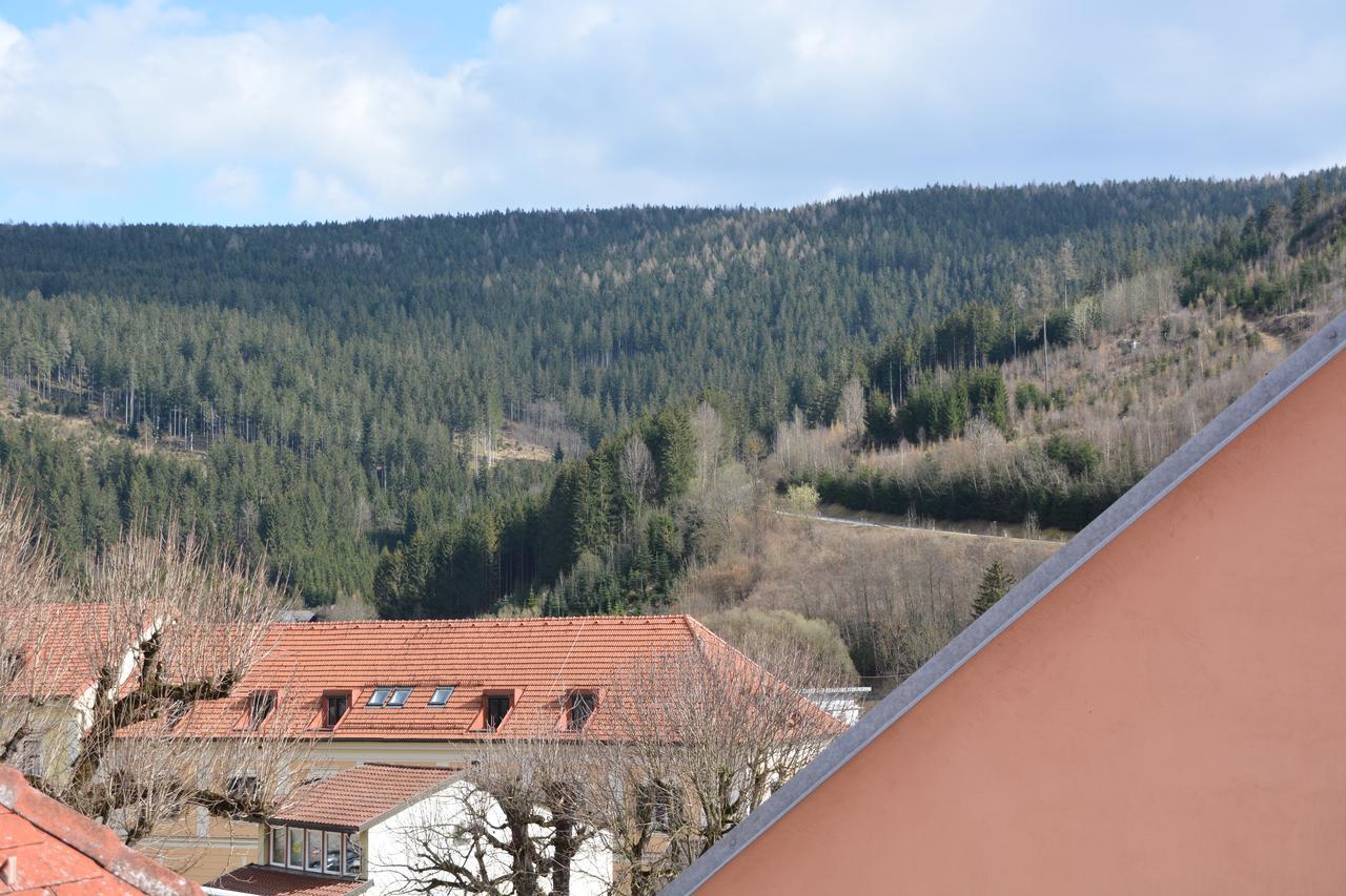 Kronenwirt Gurk Esterno foto